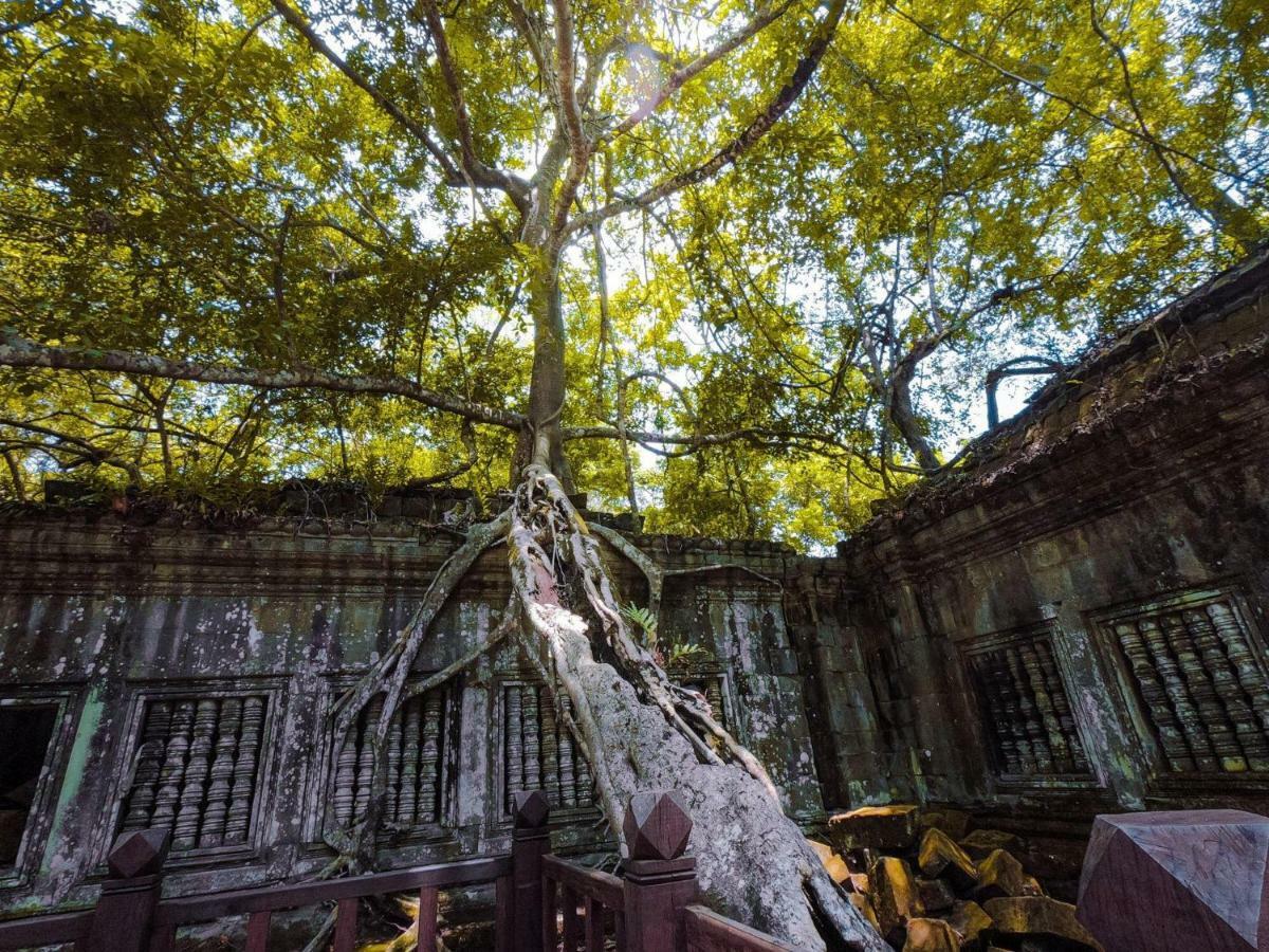 Anachak Angkor Residence Siem Reap Exteriér fotografie